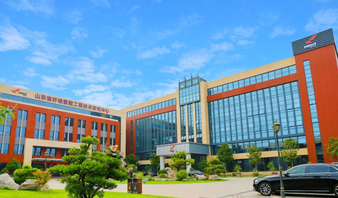 拼搏（中国）集团荣登淄博市“双百强”企业榜单